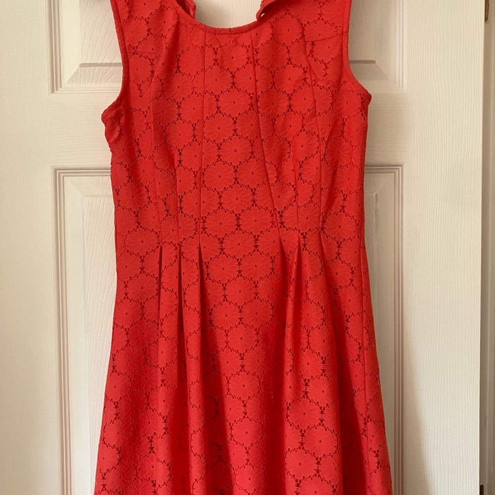 Elegant Lace Like Dress